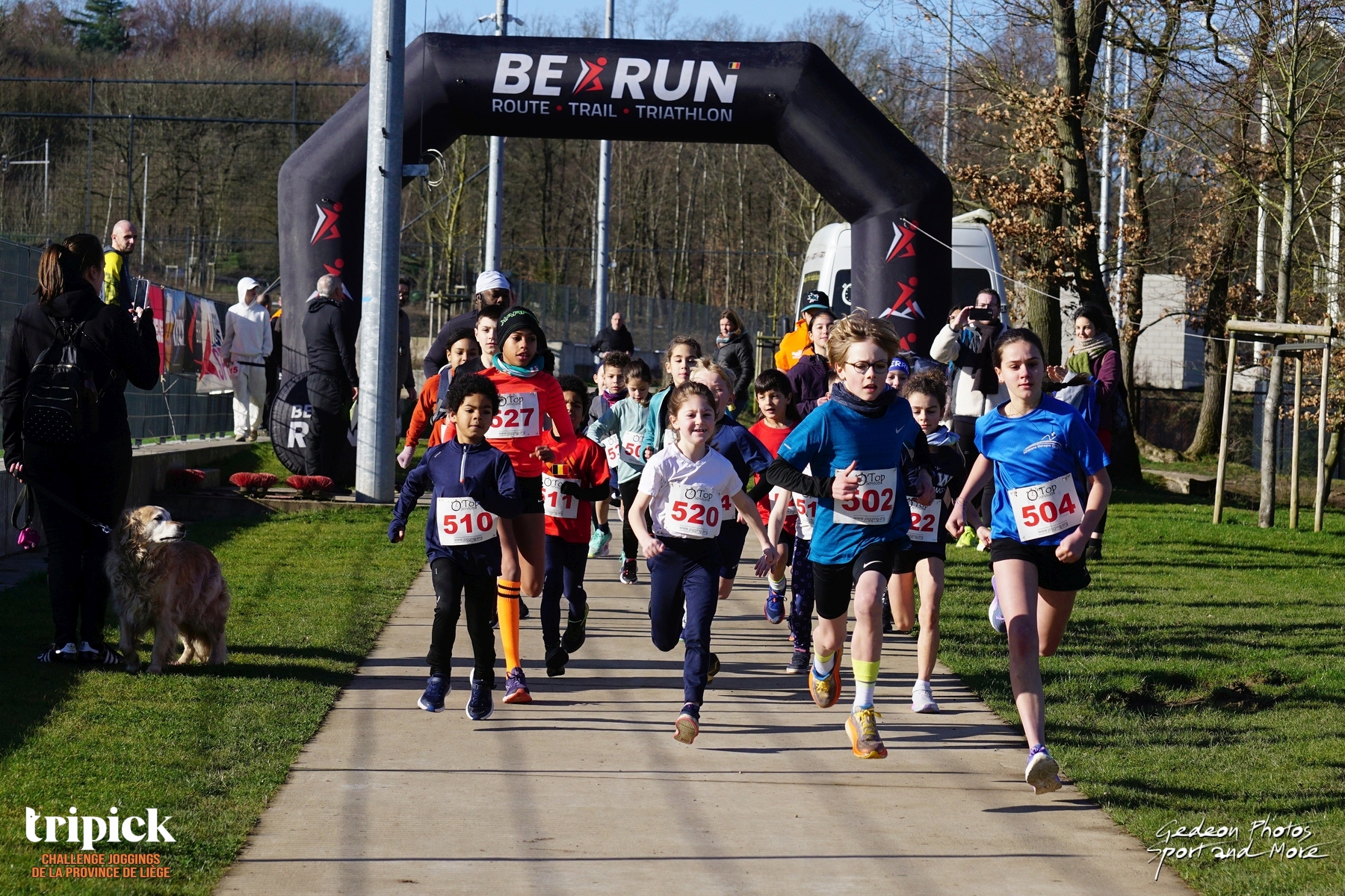 Image au Sart Tilman