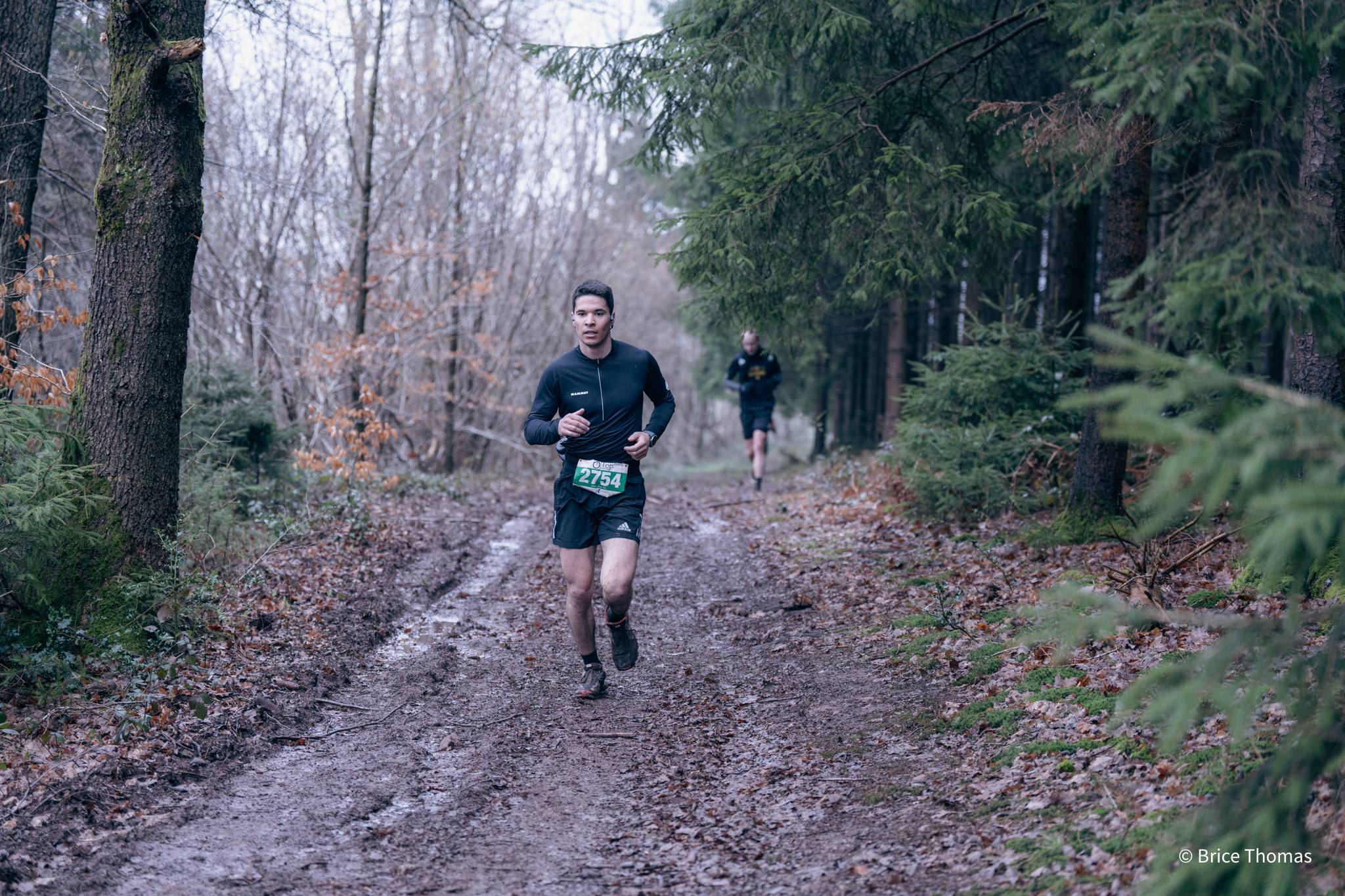 Lutins de la Saint-Patrick